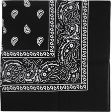 22 Inch Cotton Paisley Bandana