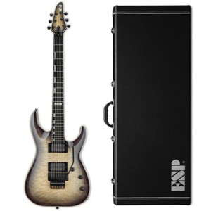 esp guitar case