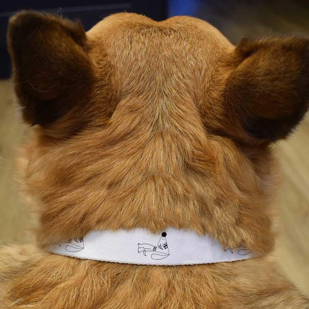 Crazy dog collars sales