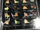 Foto 4 di 4