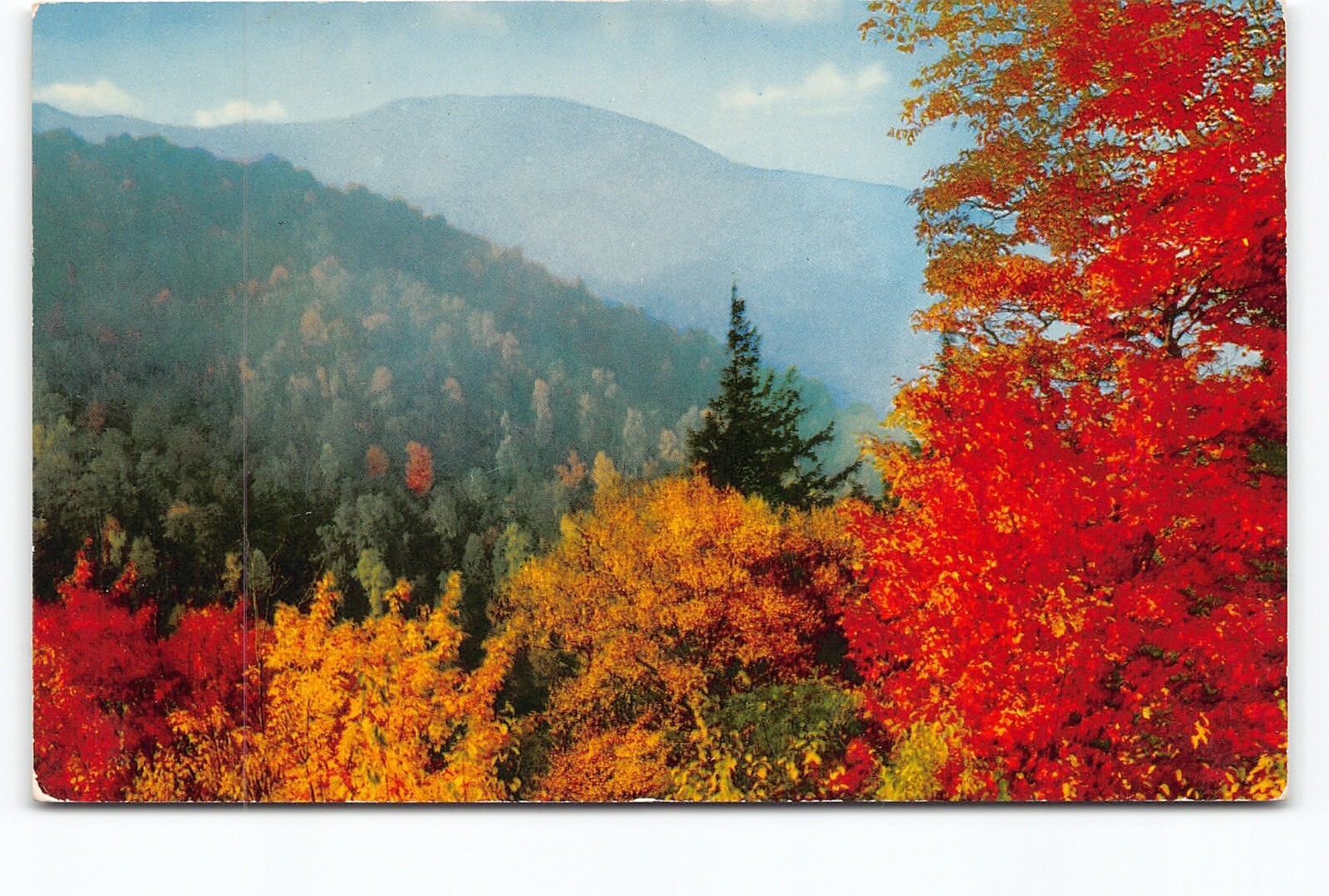 Mt Mitchell & Autumn Color Blue Ridge Parkway NC Chrome Postcard Vtg