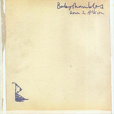 BABYSHAMBLES - DOWN IN ALBION [PA] NEUE CD