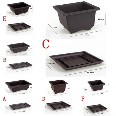 Plastic Plant Succulent Flower Pots Sill Indoor Garden Flower Planters And Trays