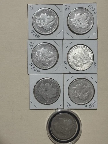 Bundle of 7 Morgan Silver Dollars (1880–1900) - Mixed Mints & Grades
