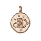 Sternzeichen Vergoldet mit 18k Gold 16mm Kettenanhänger Horoskop Zodiak