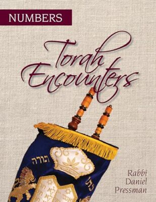 Pressman - Torah Encounters   Numbers - paperback or softback - X555z