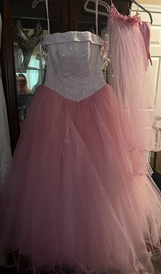 Michaelangelo Dyed Pink Strapless Tulle Wedding Dress Ball Gown Gloves Veil 10 - Image 3 of 4