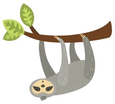 Vinyl Sloth Decor Home Bedroom Nursery Art Forest Tree Animal Climber Wall Decal