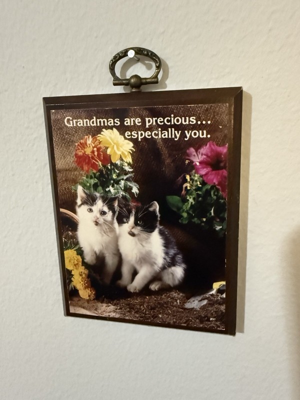 1970s Grandmas Are Precious Wooden Plaque Sign Gallery Wall Cats Kittens MCM VTG