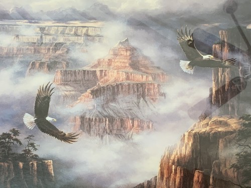Wunderschön! Reichardt ""Soaring Eagles"" Bild im Rahmen & maßgeschneiderte Mattierung bildende Kunst - Bild 4 von 12