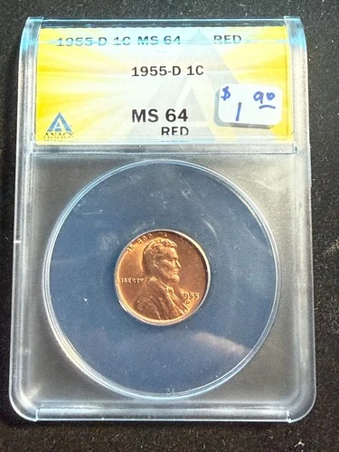 1955 D LINCOLN WHEAT CENT ANACS MS 64 RD 239
