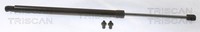 Triscan Heckklappen DäMpfer Gasfeder Kofferraum 8710 40245 FüR Honda Civic Vtec