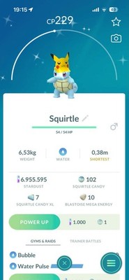 Pokémon Go - Shiny Squirtle wearing a Pikachu visor - Trade 20K Stardust
