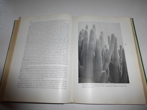 1944 The World of Plant Life Clarence J. Hylander Ph.D. Hardcover Excellent B179 - Picture 6 of 9