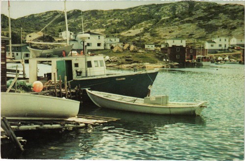 CANADA - NEWFOUNDLAND PICTURE POSTCARDS 65 mainly unused (plus some