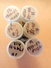 LOT OF 300 LINCOLN WHEAT CENTS 1940 to 1958 – 6 ROLLS IN COIN TUBES (Batch CC)