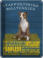 Blechschild 40X30 Cm Staffordshire Bullterrier Hund Deko Geschenk Metall Schild