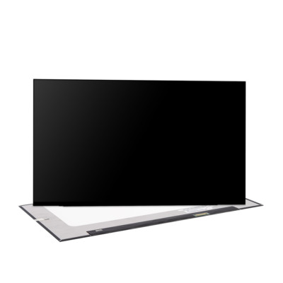 Notebook Display passend für ASUS ZenBook 15 UX533FAC, matt