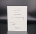 Foto 10 di 12