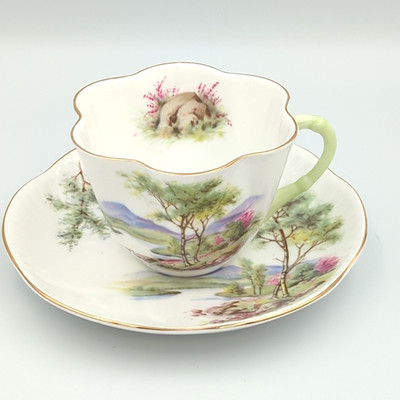 Shelley Loch Lomond 14287 Fine Bone China Teacup & Saucer Dainty -England