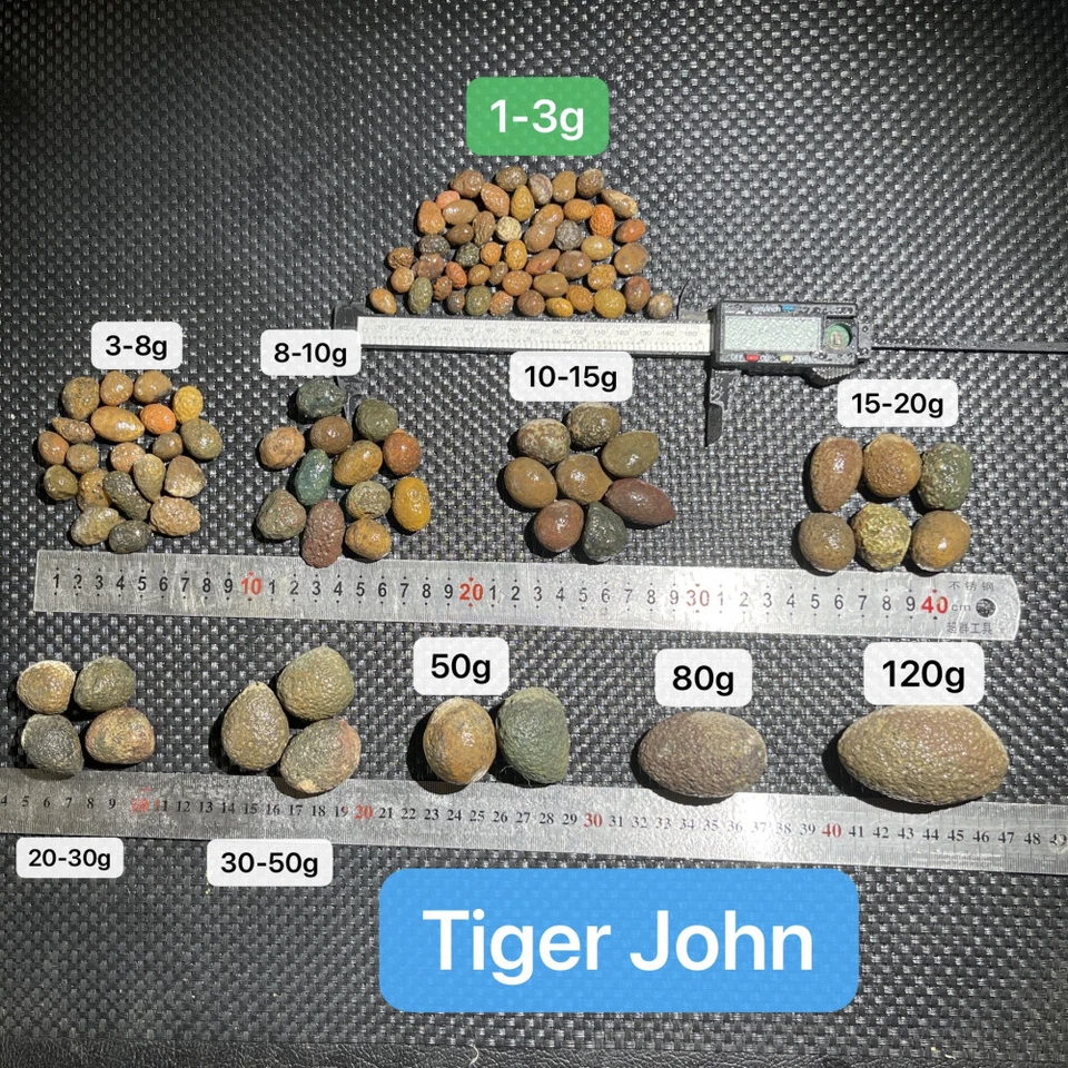 natural rough Uncut China Agate Achat Nodule crystal Specimen cave thunder egg A - Image 3 of 4