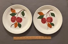 PAIR OF BLUE RIDGE SOUTHERN POTTERIES APPLE SCALLOPED LUNCH SALAD PLATE 9" VTG