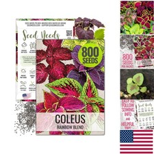 Colorful Coleus Seeds for Planting - Attract Butterflies with 800 Heirloom Seeds