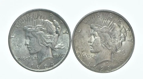 1924 & 1923 Peace Silver Dollar $1 Bullion Collection Lot *119