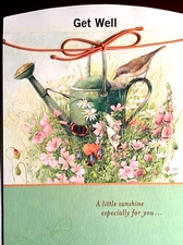 GET WELL Card, ,  "A Lttle SUNSHINE for YOU", Nature's Sketchbook Hallmark NS32