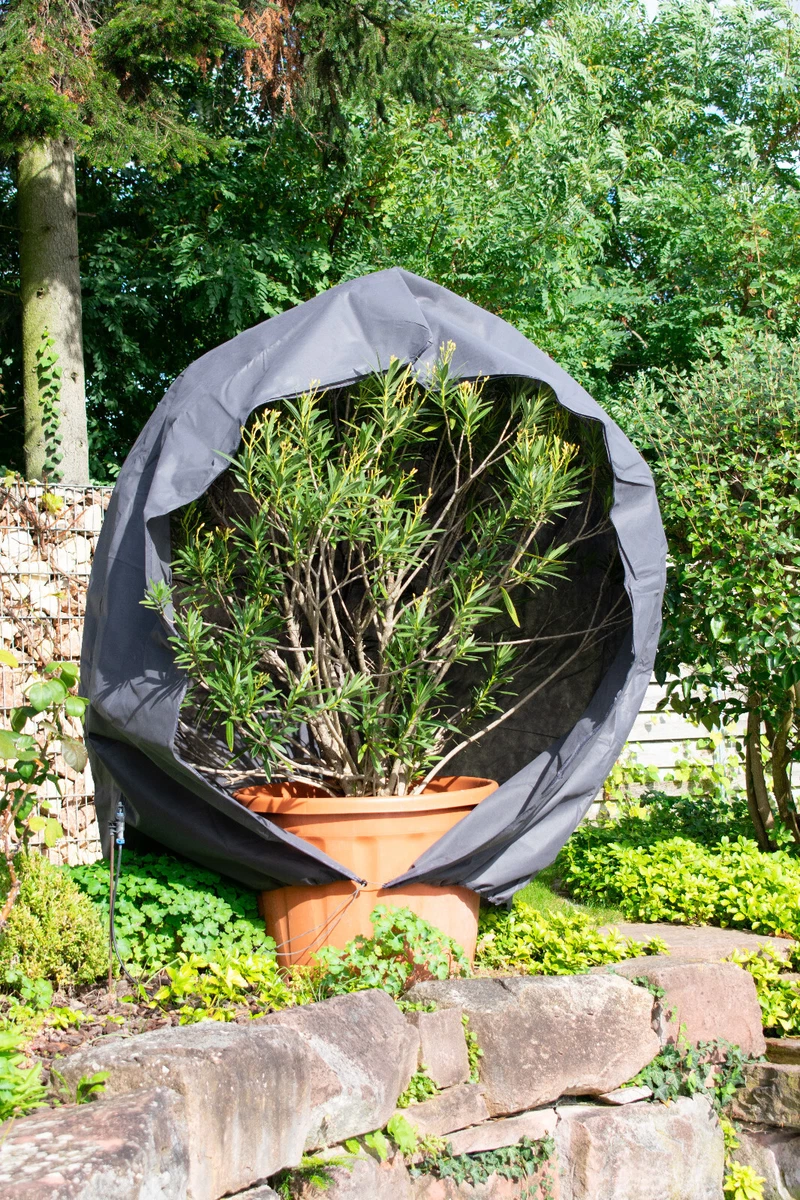 Winterschutz Für Pflanzen Online Kaufen - Meine Orangerie