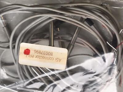 Cable Temperature Sensor ASI M12 80037896