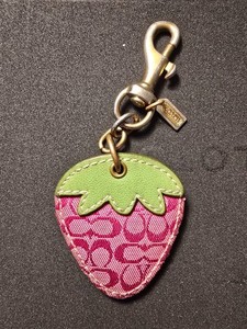 Coach Strawberry Charm | eBay