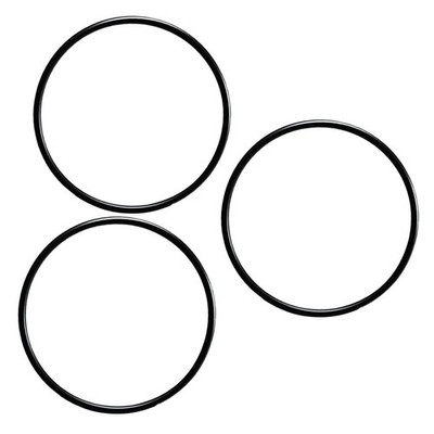 59000600 O-Ring f��r Pentair f��r Fns Plus Pool Filter Schottdichtung Anwendung