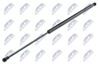 NTY Heckklappen DäMpfer Gasfeder Kofferraum AE-NS-006 FüR Nissan Qashqai 1 J10