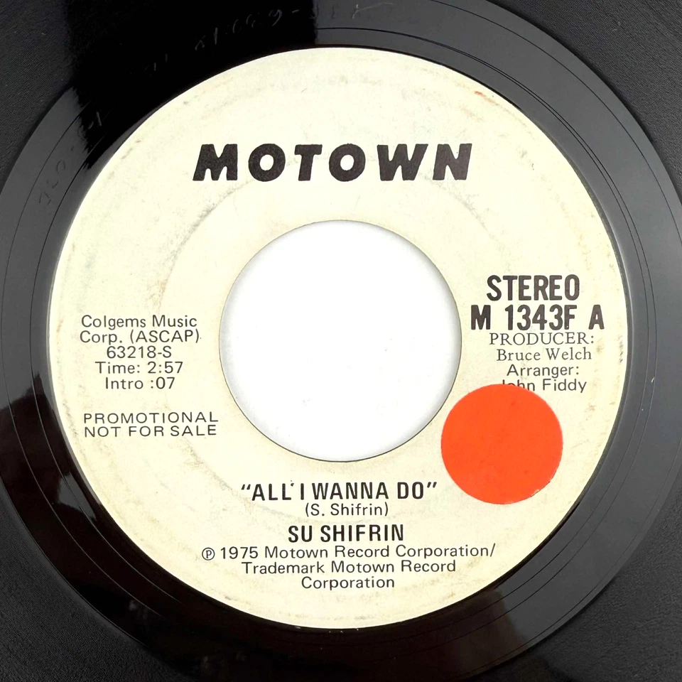 Su Shifrin All I Wanna Do White Label Promo 45 RPM 7" Single record Stereo Mono - Image 3 of 4