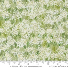 Moda SWEET CECILY Bud 24642 12 Quilt Fabric BTY by Janet Clare.