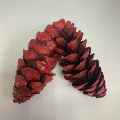 Große rote Tannenzapfen 12-15 cm Kunst Blumen Basteln Hochzeit Weihnachtsdeko 