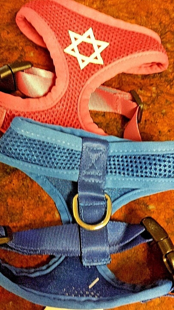 DOG HARNESS, ADJUSTABLE, STAR OF DAVID,  BLUE or PINK