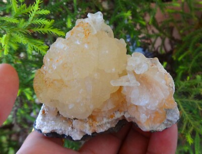Stilbit Blume Auf Heulandit Kristall Gestein Mineralien Probe G=65