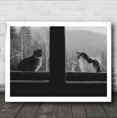 Outside The Window Cats Sitting Black And White Wall Art Print