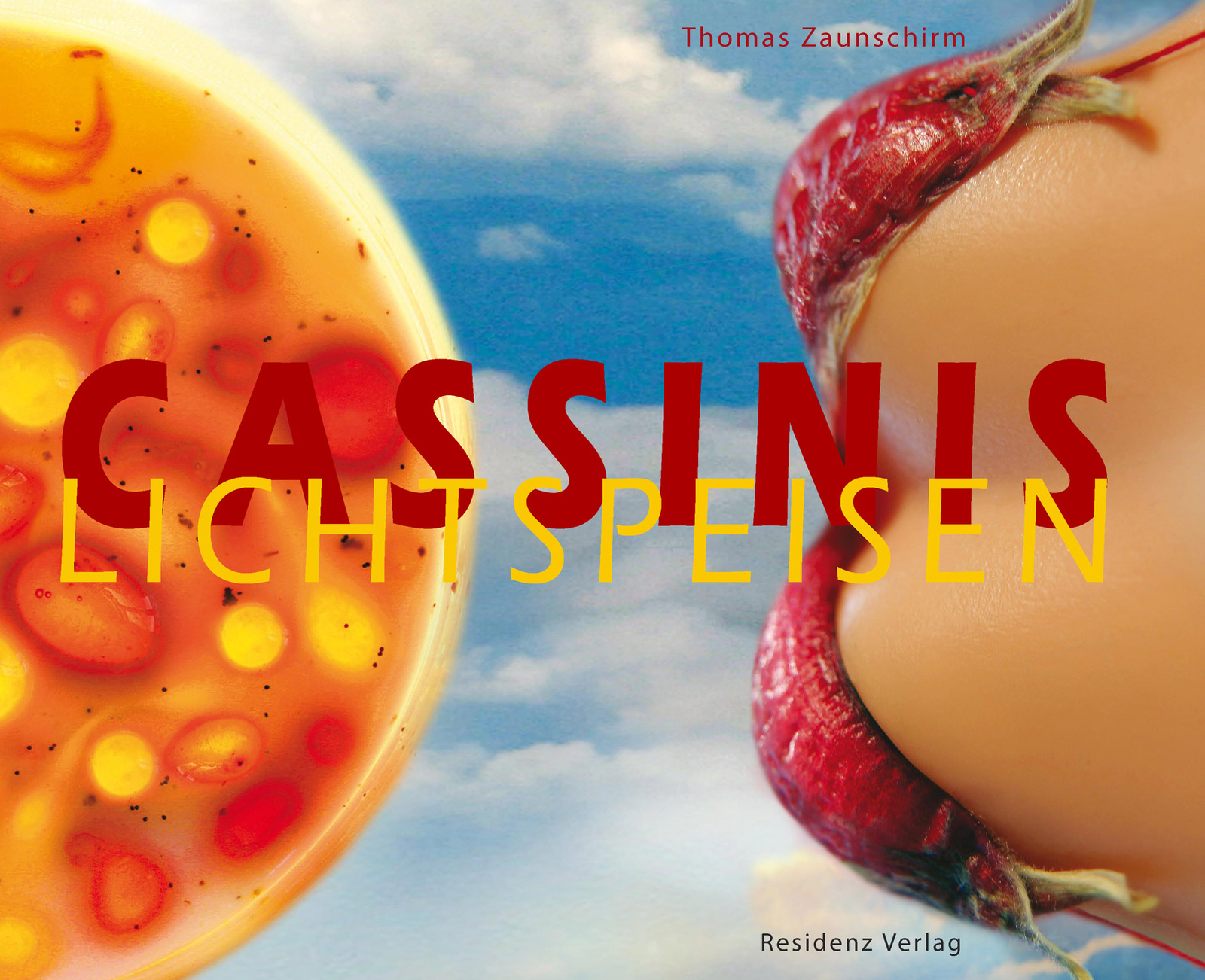 Theres Cassini; Thomas Zaunschirm / Lichtspeisen