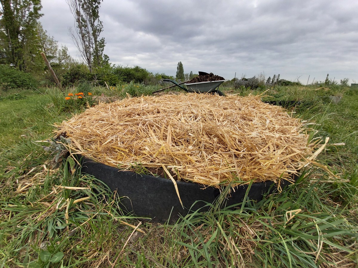 Root Pouch - Pot En Tissu Gris 3.8L - Géotextile Anti Spirale - Foto 4