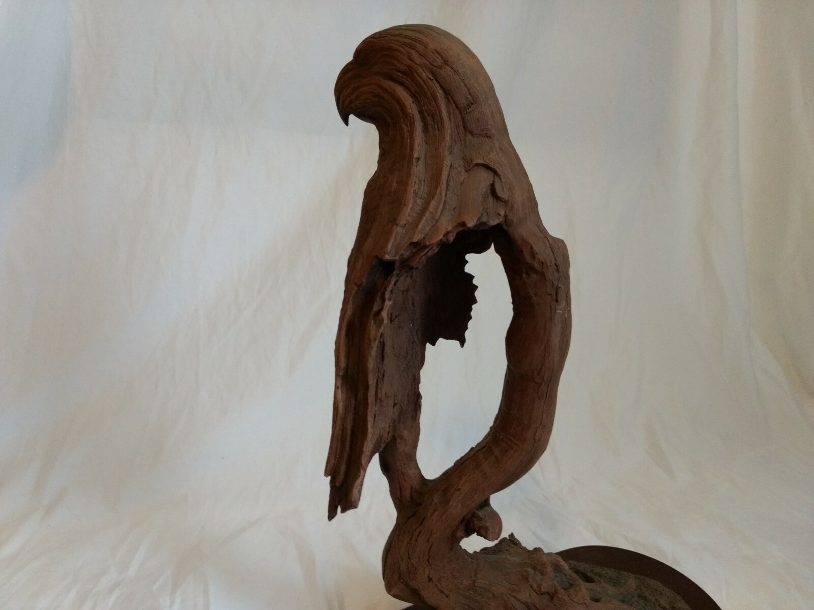 Rick Cain Paradise Found Parrot Sculpture Bird Limited Signed Rare
