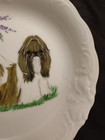 Picture 6 of 11