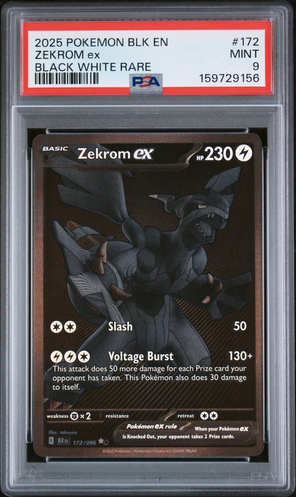 Zekrom ex #172