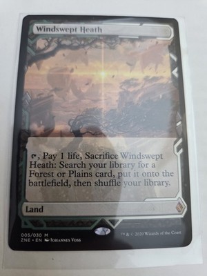 mtg, Windswept Heath Zendikar Rising Expeditions Regular NM