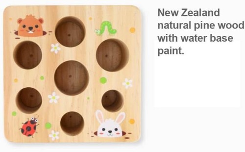 Safe Natural Pine Wood Toy: Shape Sorting Carrot for 1 Olds - Fun Learning - Picture 9 of 10