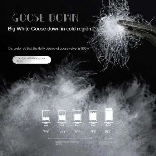 Anti-feather Cloth 95 White Goose Down Duvet Silent Quilt Warm Hotel Gift Quilt - Image 4 of 4