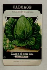 1920's LITHO CARD CO. CABBAGE EARLY JERSEY SEED PACKET