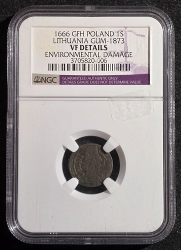 1666 GFH Poland 1 Shilling NGC VF Details Environmental Damage
